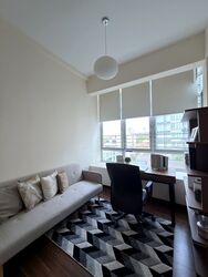 Emerald Hill Road (D9), Apartment #579049091